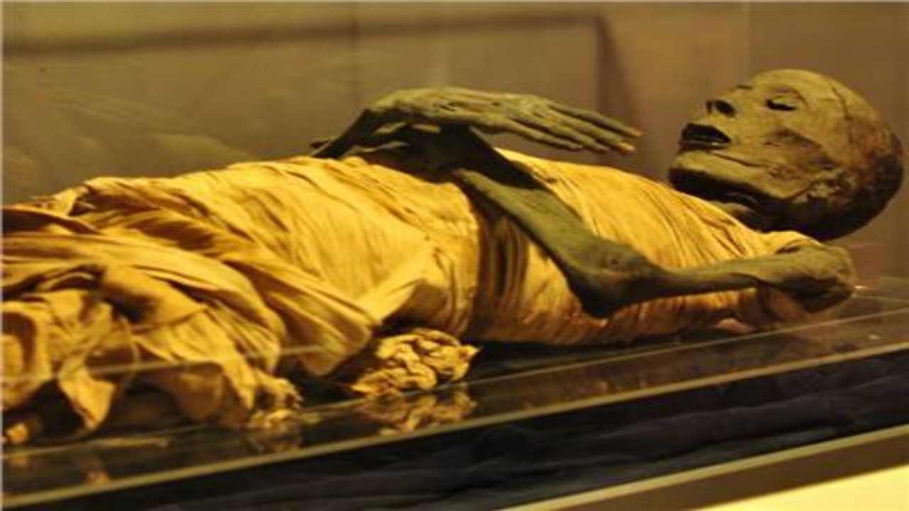 فك غموض سبب وفاة ملك مصر القديمة: &#8220;ضربة على الرأس&#8221;