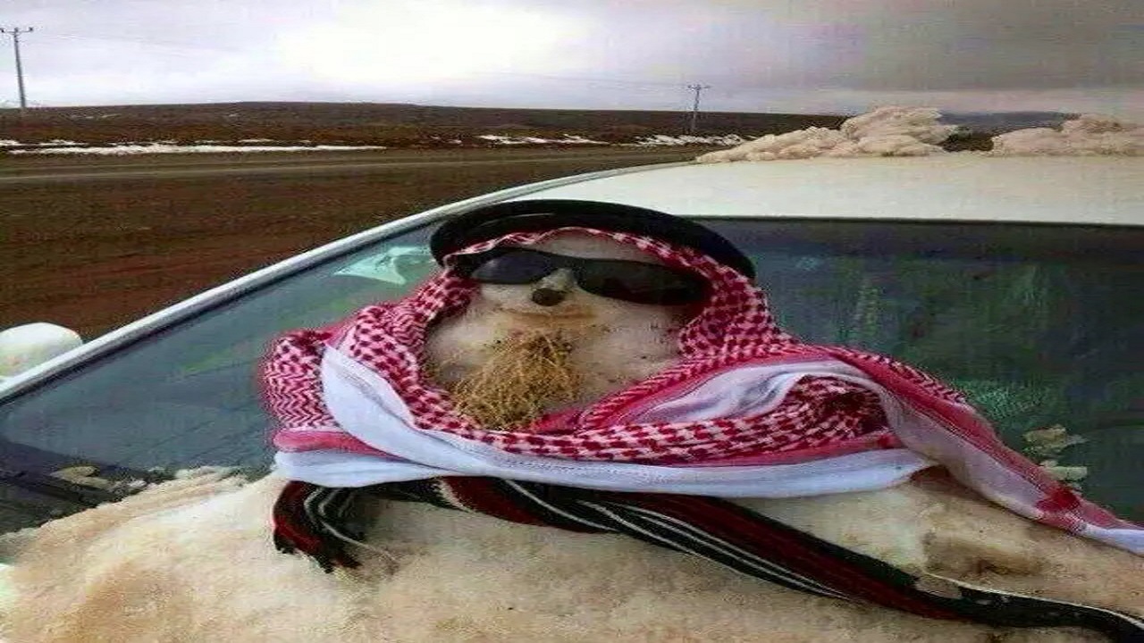 بصور طريفة .. رجل الثلج يرتدي نظارة وكمامة وشماغ في المملكة