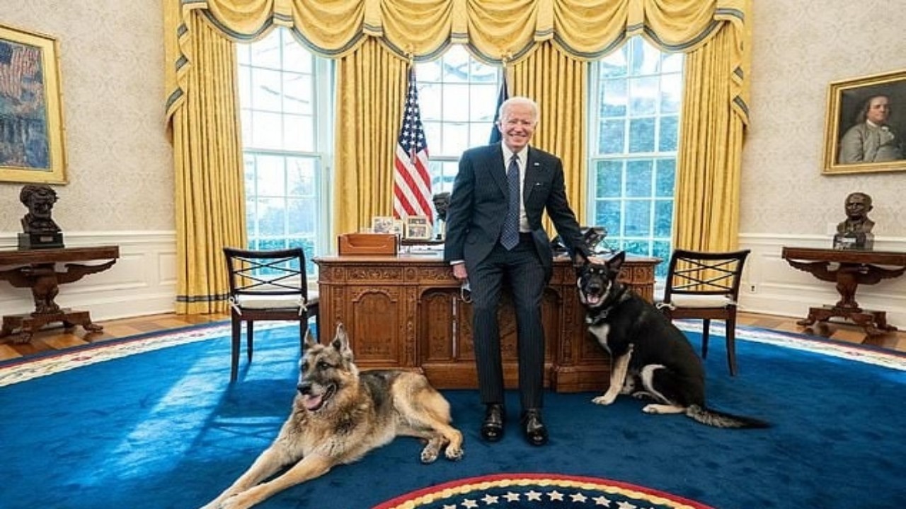 بالصور.. موظف بالبيت الأبيض يتعرض للعض من كلب بايدن