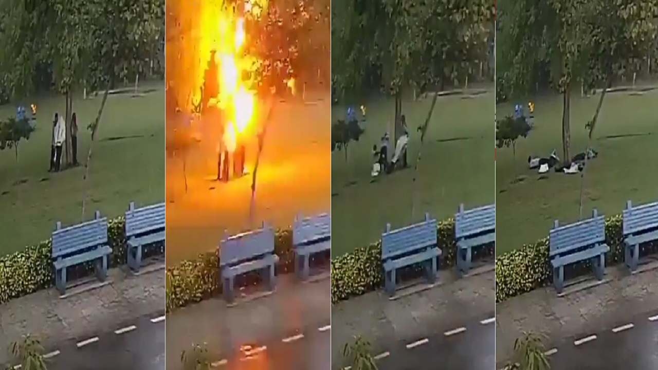بالفيديو.. مشهد صادم لبرق يصعق 4 رجال احتموا بشجرة أثناء الأمطار