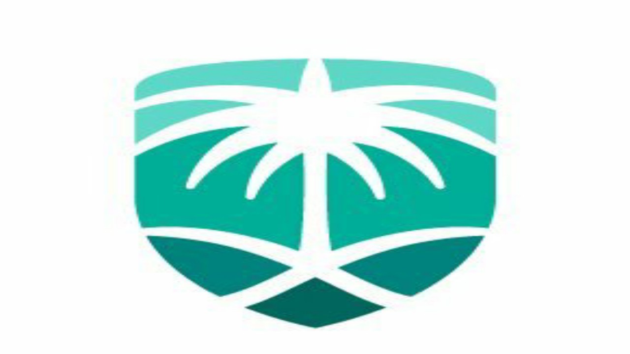 ” ‏الجمارك ” تعلن عن مزاد على بضائع منوعة بميناء جدة  