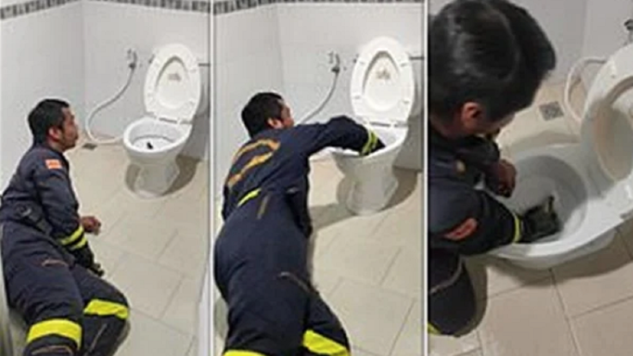 فيديو مرعب لثعبان مميت يخرج من مرحاض أثناء جلوس شخص عليه
