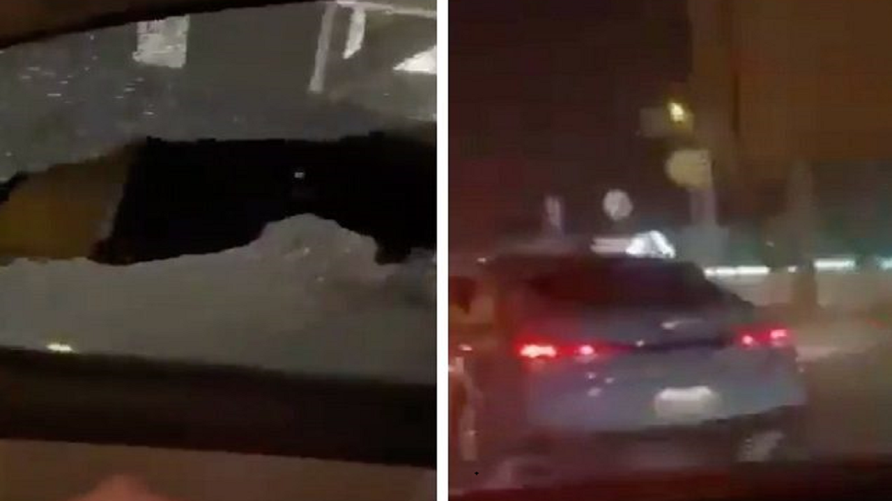 بالفيديو.. سيدات يهشمن زجاج سيارة ويقمن بحركات خادشة للحياء بإحدى الطرق