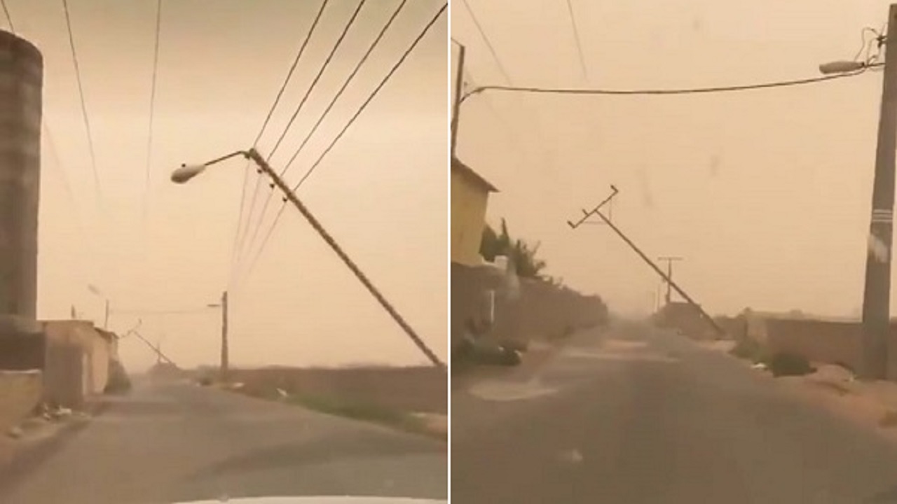 بالفيديو.. سقوط الأعمدة الكهربائية واقتلاع النخيل بسبب العاصفة الرملية بحائل