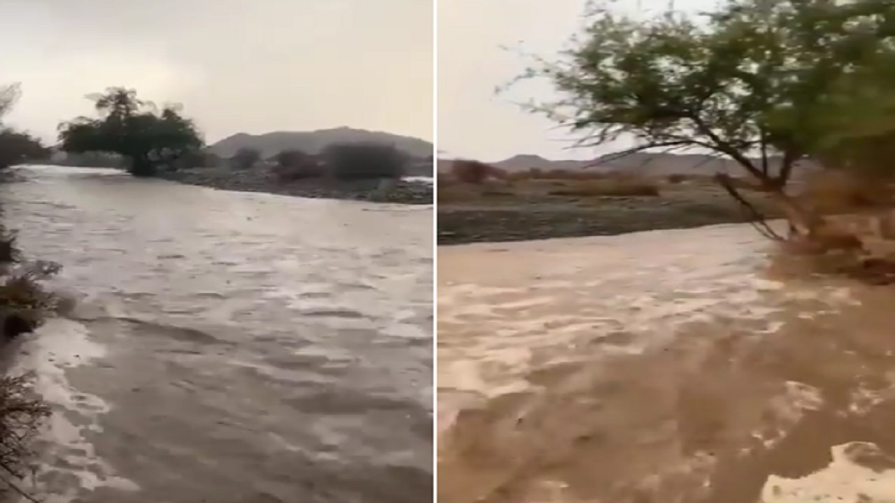 بالفيديو .. السيول تشق طريقها في شرق العبلاء غرب بيشة