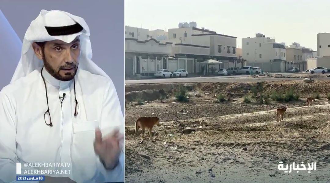 الرفق بالحيوان: لدينا حلول لمعالجة أوضاع الكلاب الضالة في أحياء الرياض
