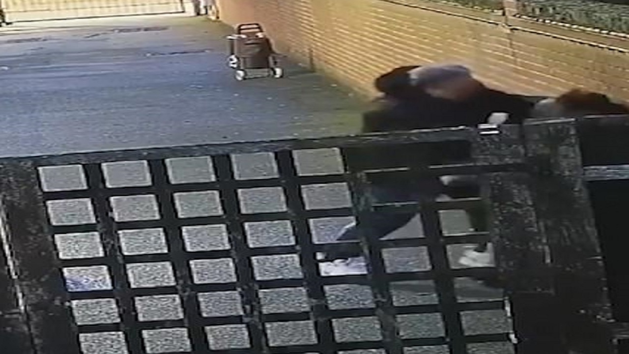 بالفيديو.. رجل يضرب امرأة حامل بشكل عنيف