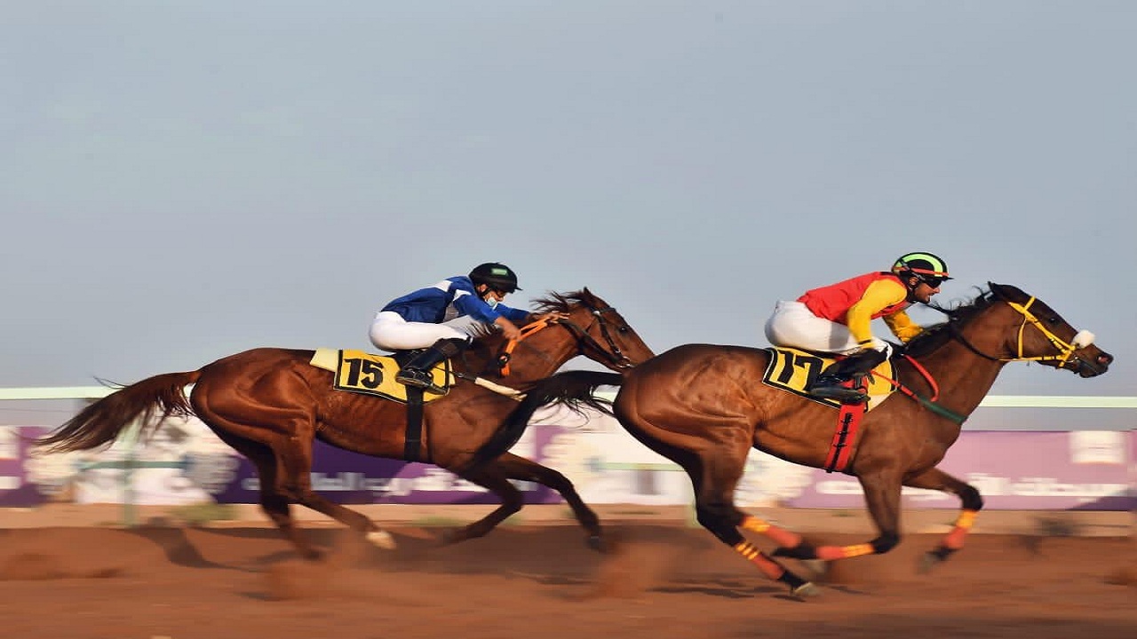 غدا الإربعاء..فروسية حائل تنظم حفل سباقها العشرون على “سيارتي” عياد الدلبحي