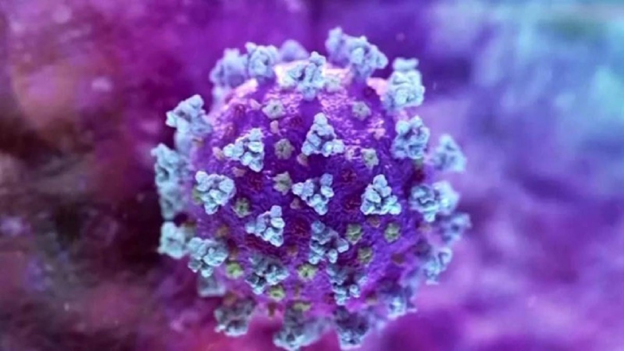 اكتشاف سلالة مزدوجة التحور لفيروس كورونا