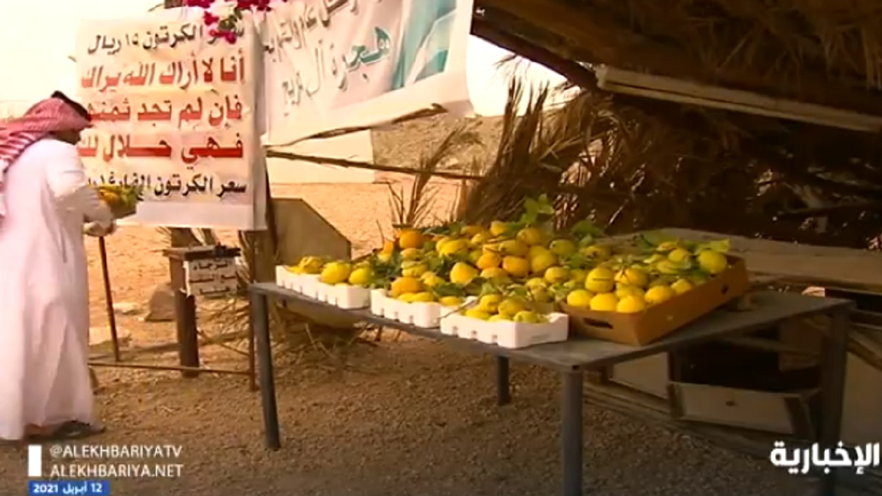 بالفيديو.. مواطن كفيف يبتكر طريقة لبيع الفواكة في نجران