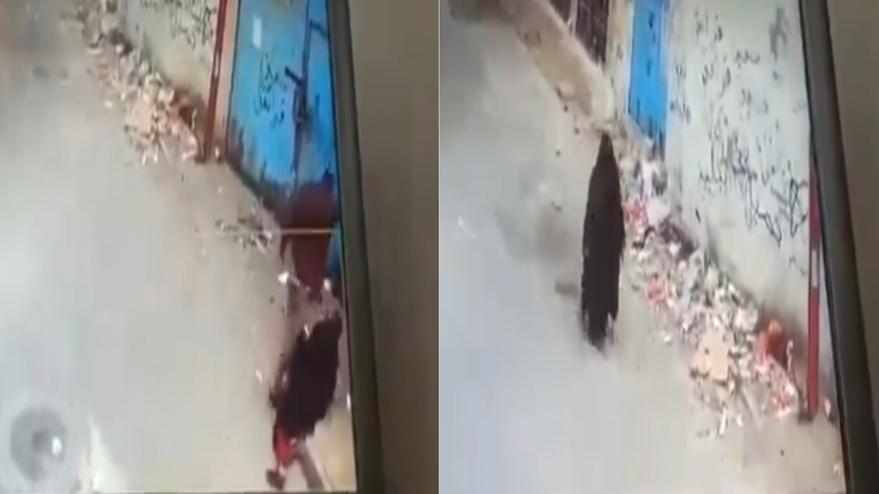 بالفيديو.. لحظة اعتداء شابان على والدتهما المسنة وسط الشارع