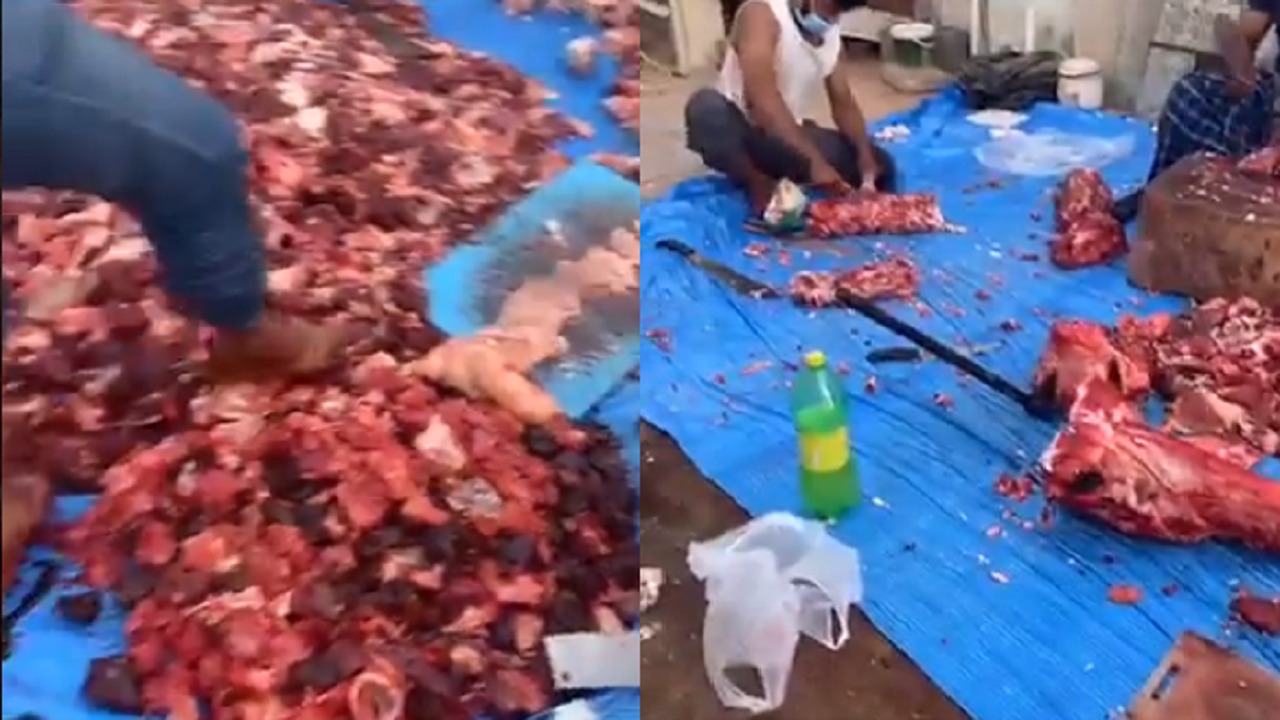 بالفيديو والصور.. ” أمانة تبوك ” تضبط العمالة التي ظهرت في فيديو دهس اللحوم الأقدام