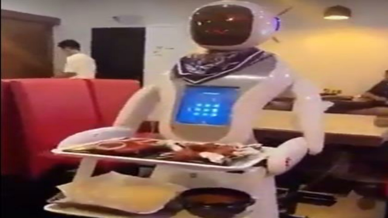 شاهد.. روبوتات تفاجئ زبائن أحد المطاعم في جازان بتقديم الطلبات على الطاولات