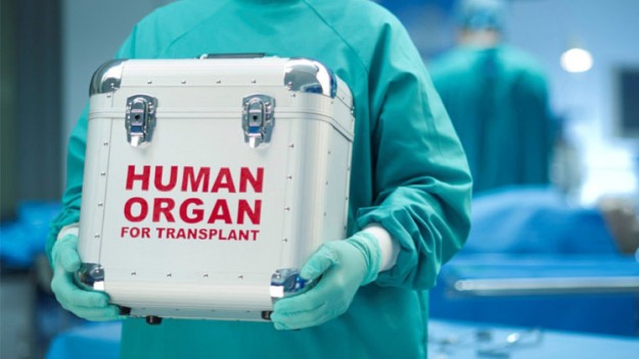 عقوبات رادعة لمخالفي نظام التبرع بالأعضاء البشرية