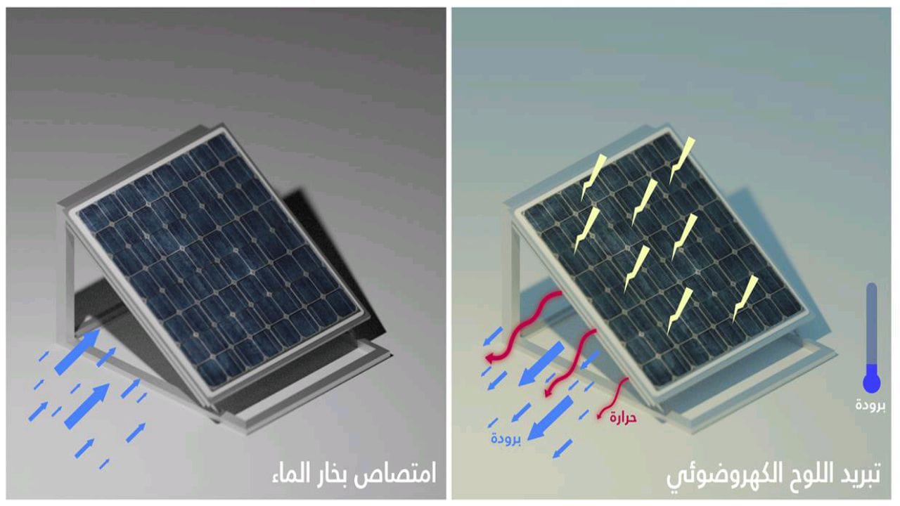 جامعة الملك عبدالله للعلوم والتقنية تكشف تفاصيل ابتكار نظام لتبريد الألواح الشمسية