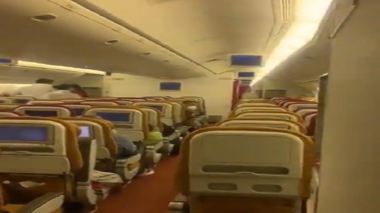 بالفيديو.. ظهور خفاش داخل طائرة تابعة للخطوط الهندية