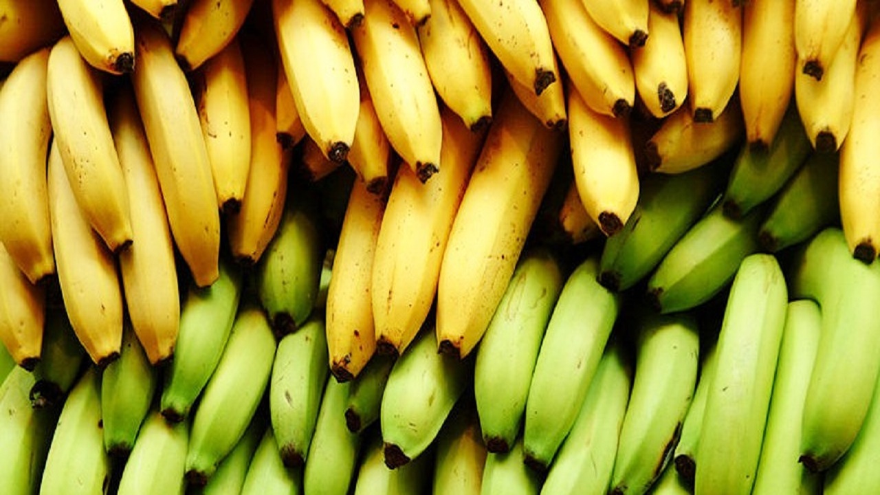 عند اختيارك فاكهة الموز الأصفر أم الأخضر تفضلين