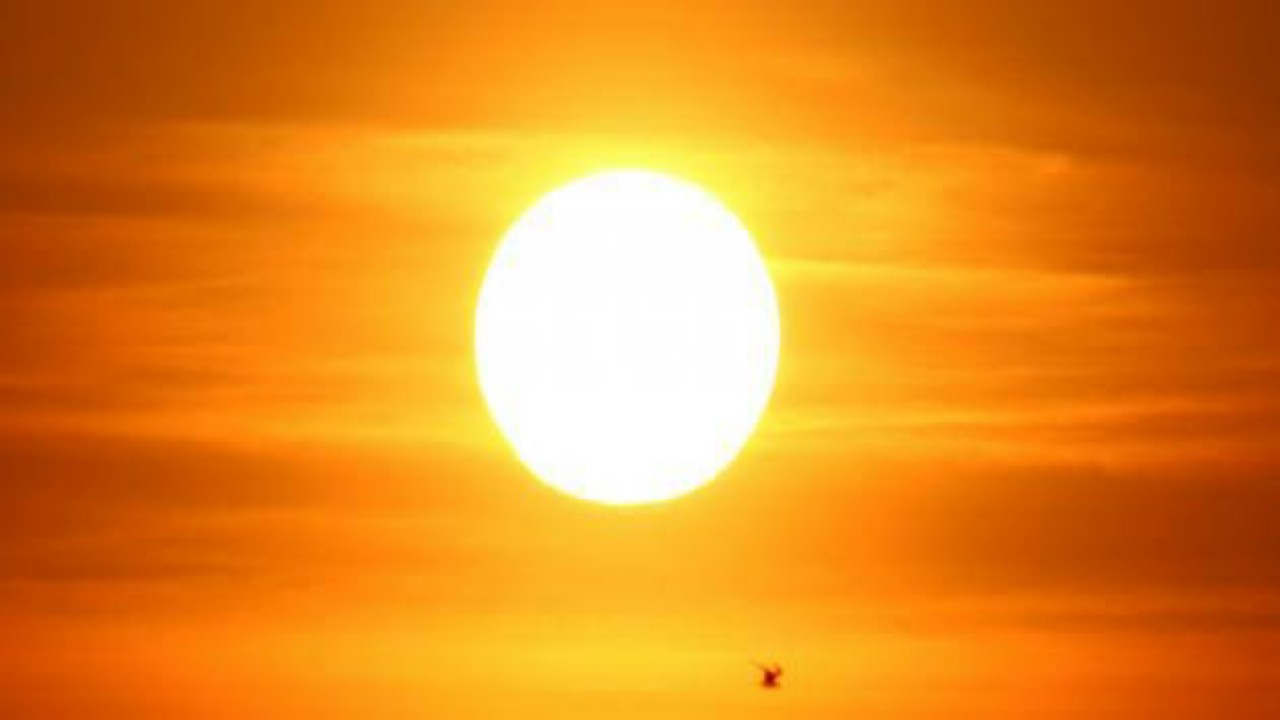 الهلال الأحمر: حرارة الشمس في هذا التوقيت قد تسبب بعض المتاعب الصحية 