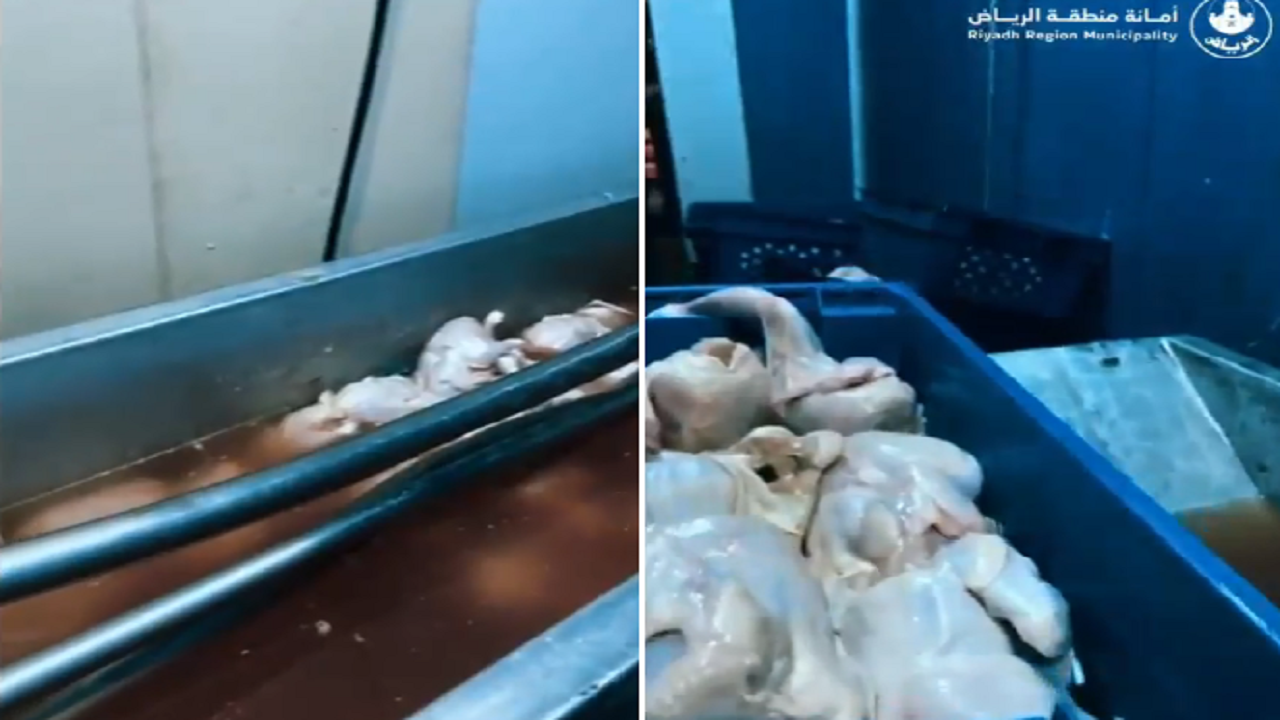 بالفيديو.. ضبط عمالة تُغير تواريخ صلاحية الدجاج الفاسد بالرياض