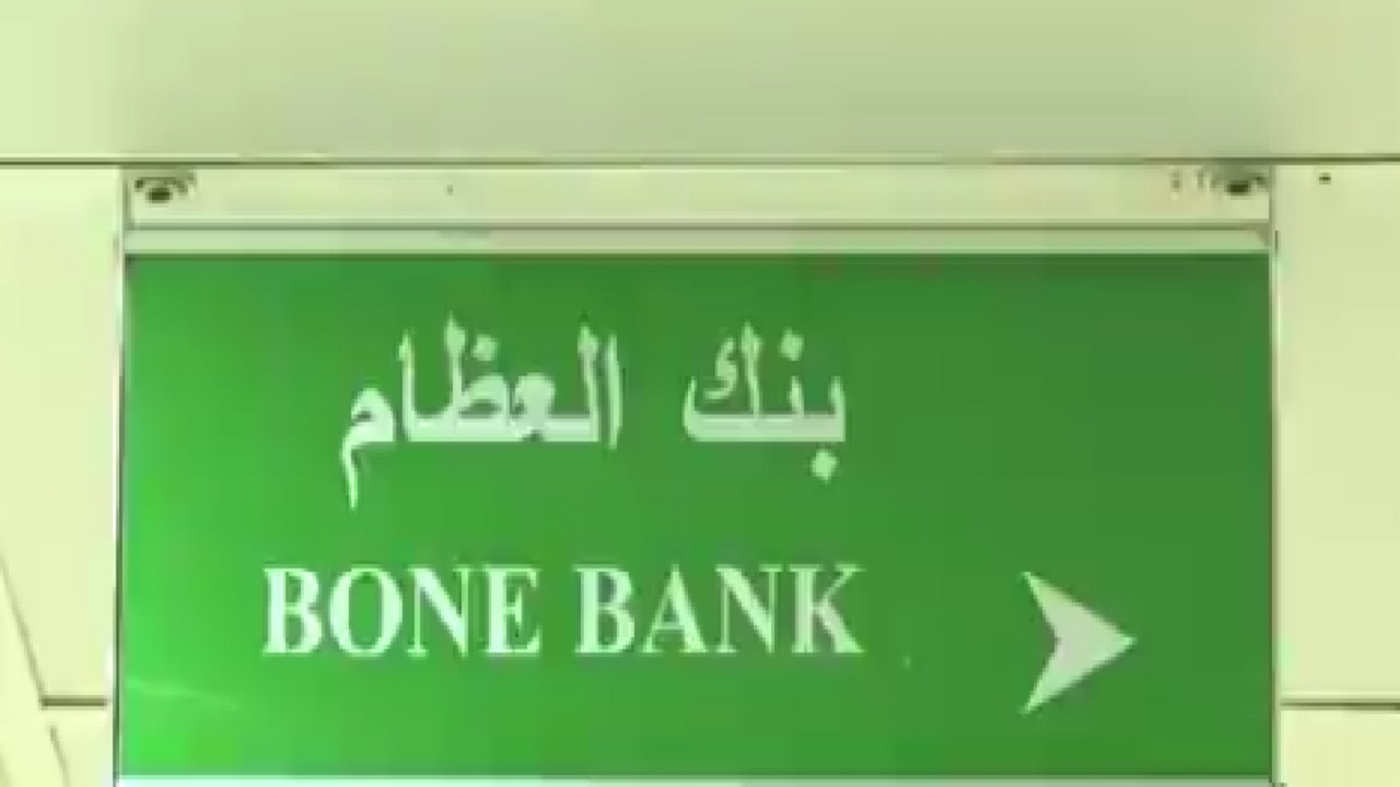 بالفيديو .. قصة أول بنك للعظام في الشرق الأوسط