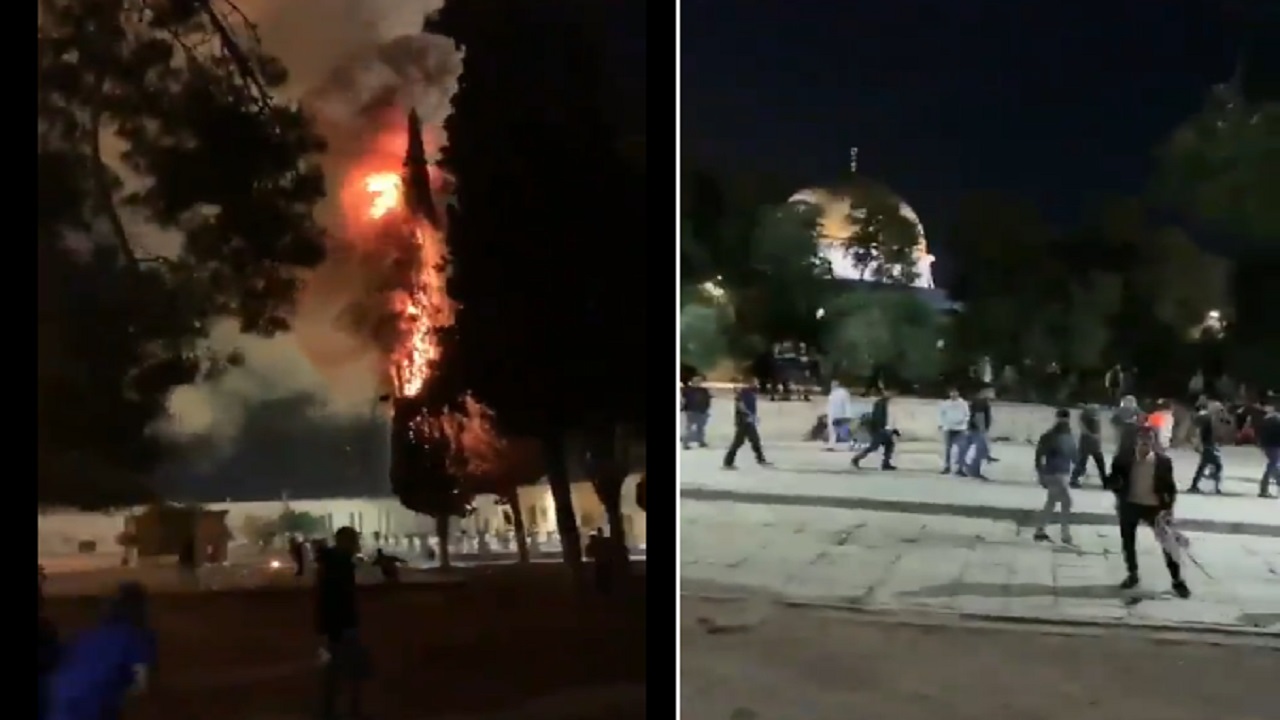 شاهد .. ألسنة النيران تلتهم شجرة ضخمة بالقرب من المسجد الأقصى