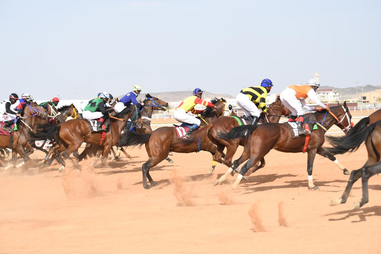 محافظة العقيق تشهد انطلاق المحفل الأول لسباقات الخيل على كأس ميدان الفروسية