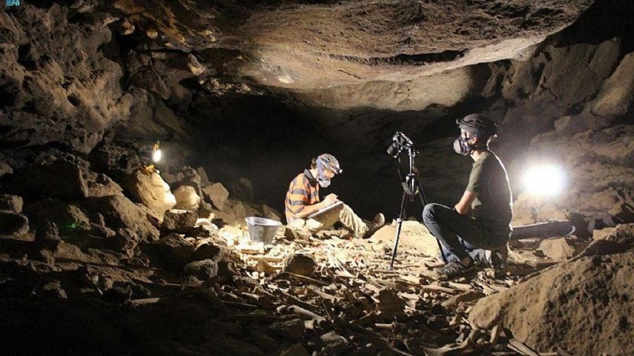 بالفيديو.. اكتشاف جديد في كهف أم جرسان بالمدينة المنورة عمره 7000 عام