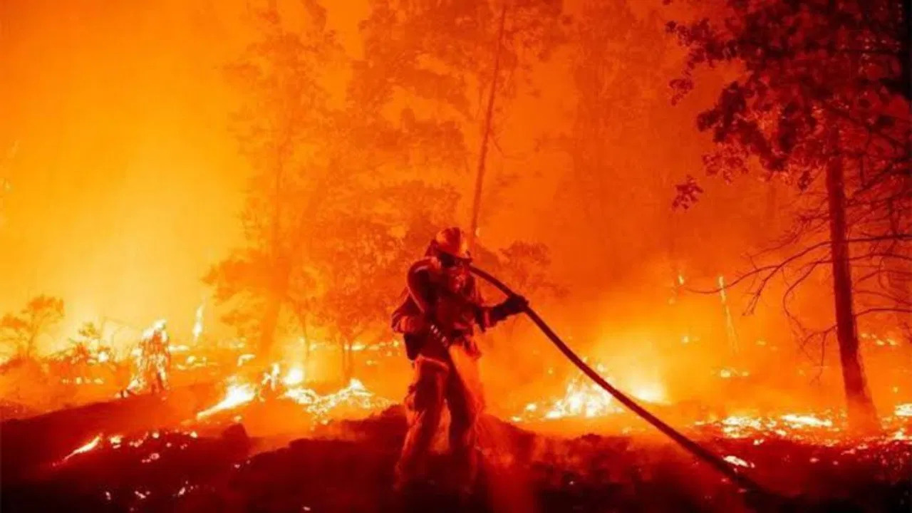 بالفيديو .. الدفاع المدني يواصل إخماد حريق في إحدى الغابات شمال النماص