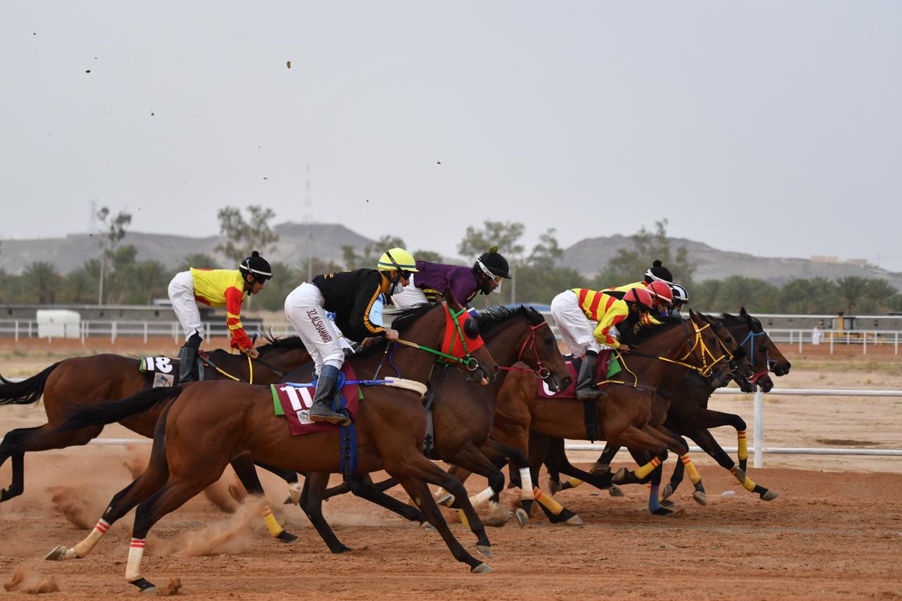 محافظة العقيق تشهد الحفل الرابع لموسم سباقات الخيل للعام الحالي