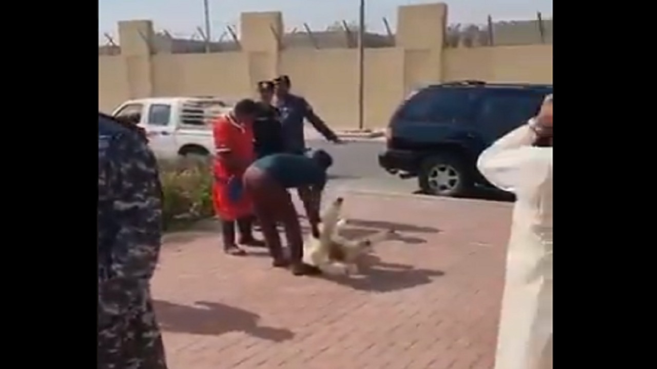 بالفيديو.. رجال أمن الكويت يذبحون الخرفان لنجاة ” ضابط ” خلال مواجهة قاتل والدته