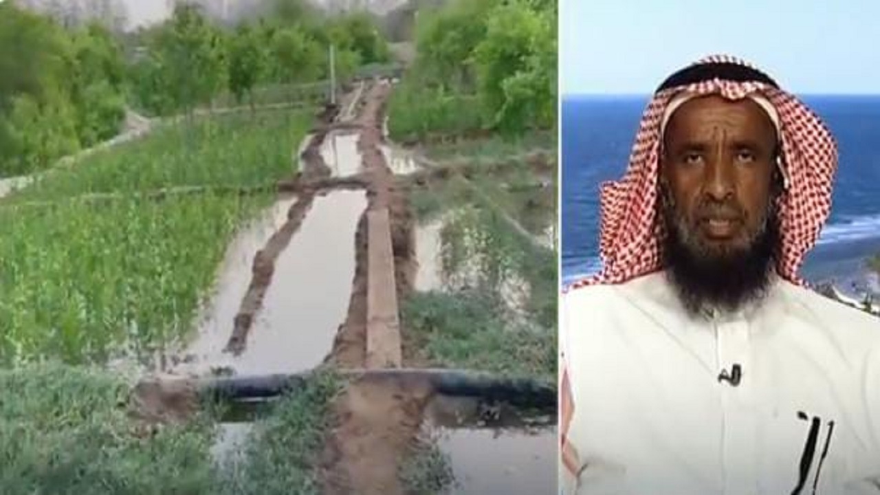 بالفيديو.. مواطن يحول مزرعته الجافة إلى واحة خضراء بمياه البحر المالحة