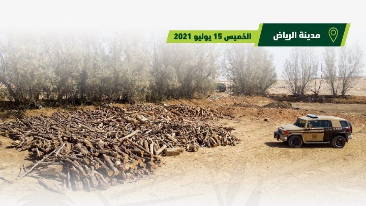 ضبط 3 مخالفين بحوزتهم 312 مترًا من الحطب المحلي المعد للبيع جنوب الرياض
