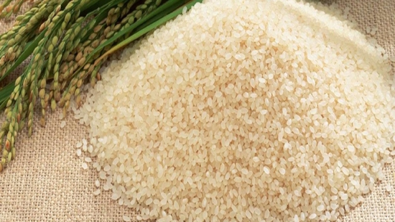 “الأحصاء” تسجل ارتفاعًا في أسعار الأرز والأسماك واللحوم