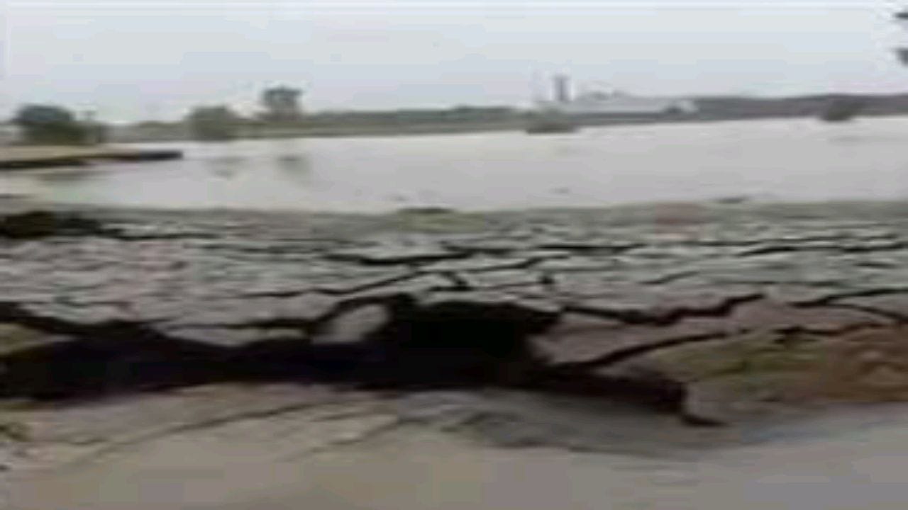بالفيديو.. ارتفاع مفاجيء في أرض مغمورة بالمياه