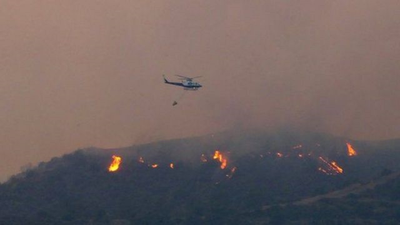 قبرص تحكم سيطرتها على حريق الغابات الهائل