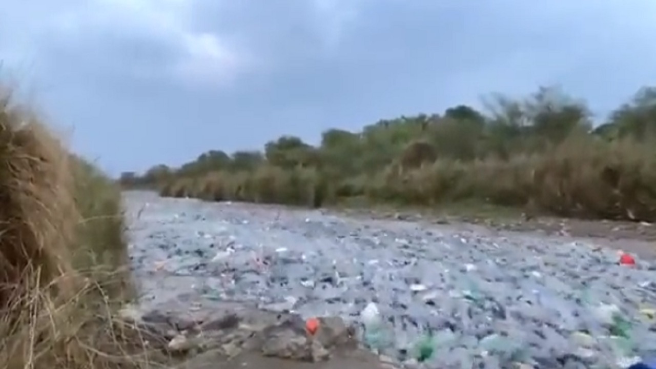 بالفيديو.. تجمع المخلفات البلاستيكية في مسار وادي ضمد أثناء جريانه