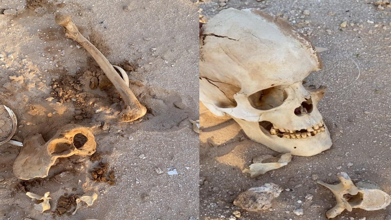 العثور على عظام وجماجم بشرية في الأفلاج