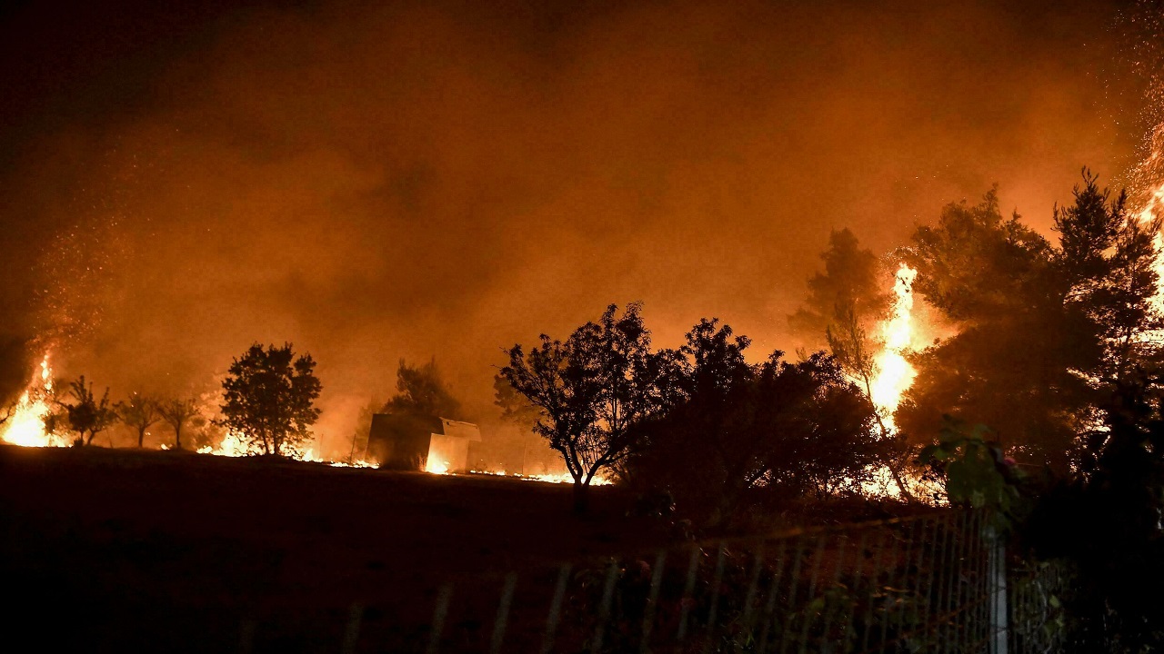 بالفيديو ..ألسنة النيران تواصل تدمير الغابات في أثينا