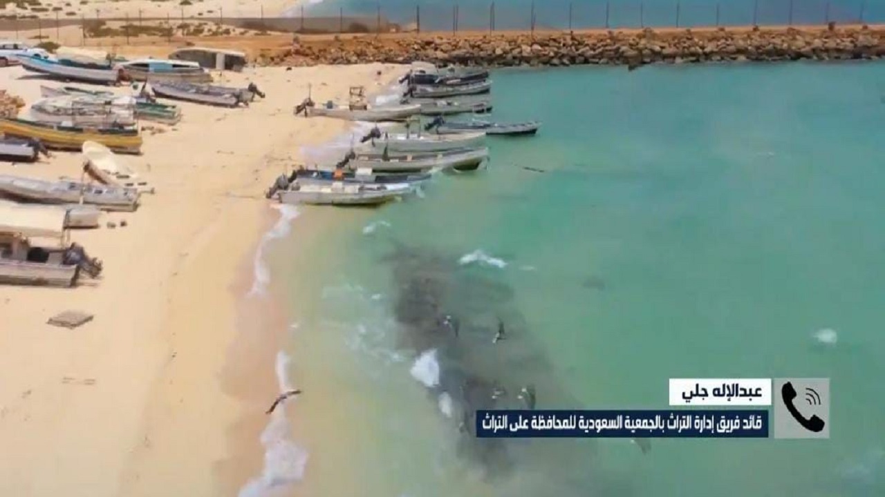 بالفيديو.. تسجيل جزر فرسان في منظمة ‎اليونسكو كأول محمية ‎سعودية