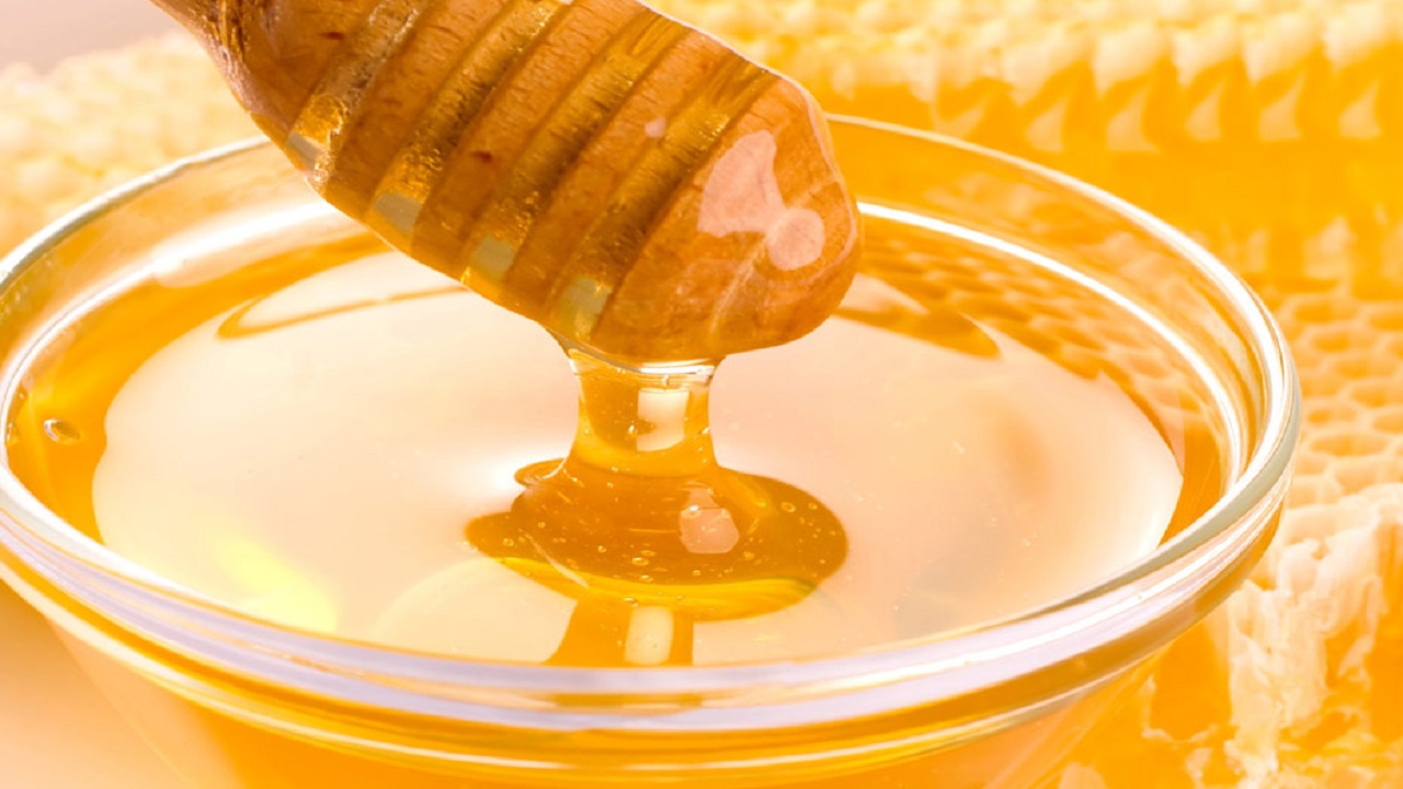 بالفيديو .. ناشط بيئي : تدخل الإنسان في إحدى مواد تكون العسل قد يسبب السرطان