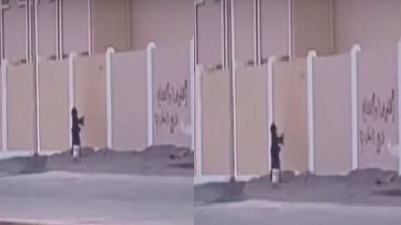بالفيديو.. مواطنة تطلي جدران مدرسة لإزالة كتابات عليها