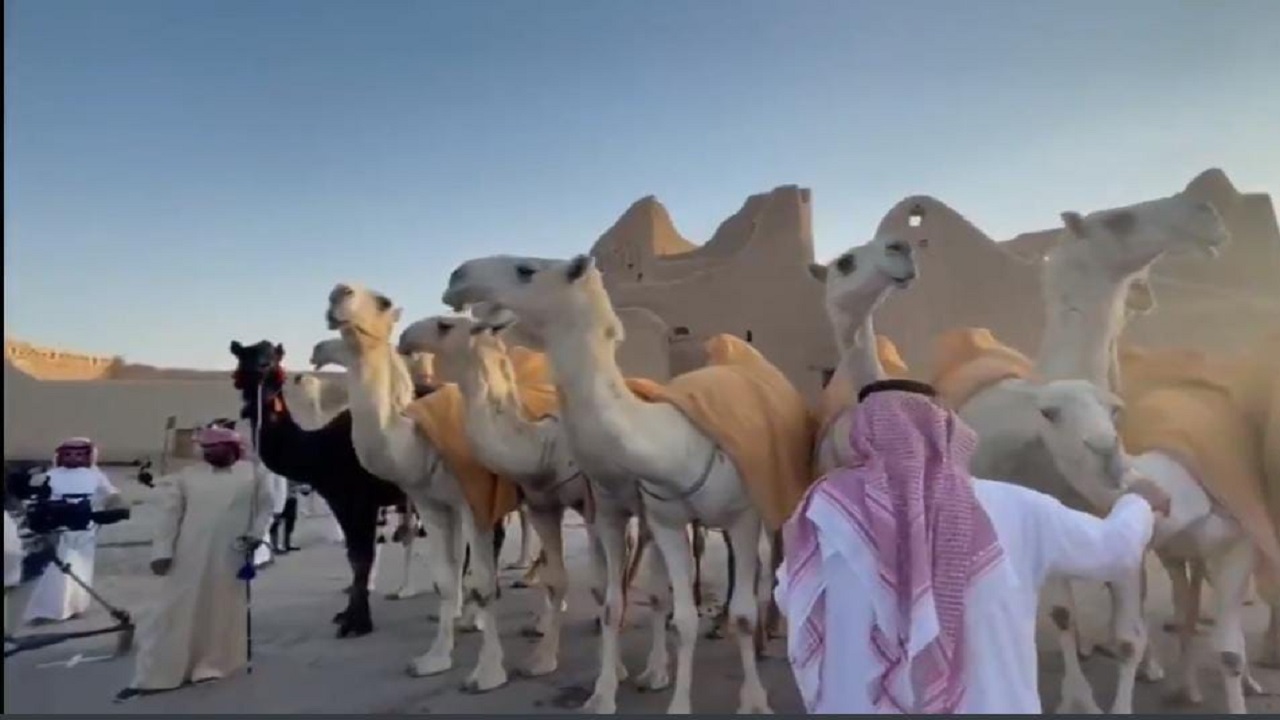 بالفيديو.. استعراض منقية قطامات في ‎الدرعية ضمن احتفالات اليوم الوطني