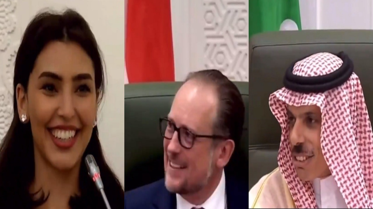 فيديو.. مراسلة العربية تفاجيء وزير خارجية النمسا بتحدثها الألمانية