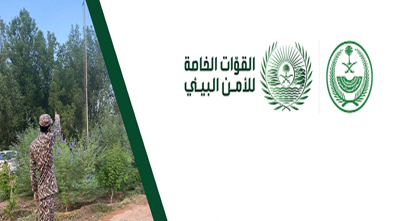 ضبط مخالفين لنظام البيئة لقيامهم بالصيد المخالف في محافظة المجمعة