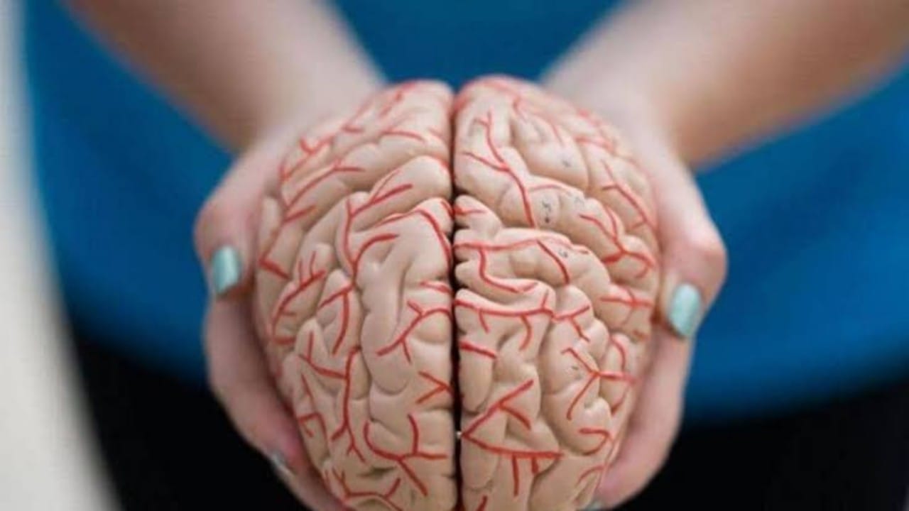 الكشف عن آثار كارثية لكورونا على المخ والأعصاب 