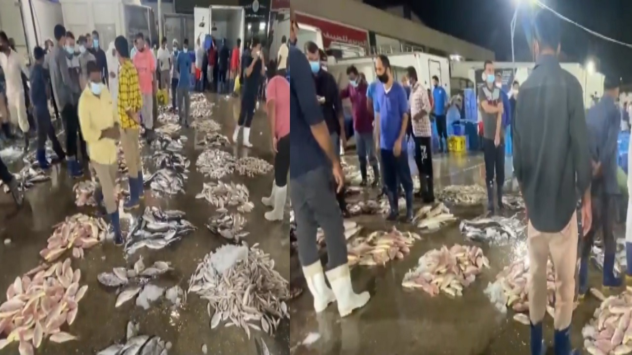 مشاهد تنذر بكارثة صحية في سوق السمك بالقطيف