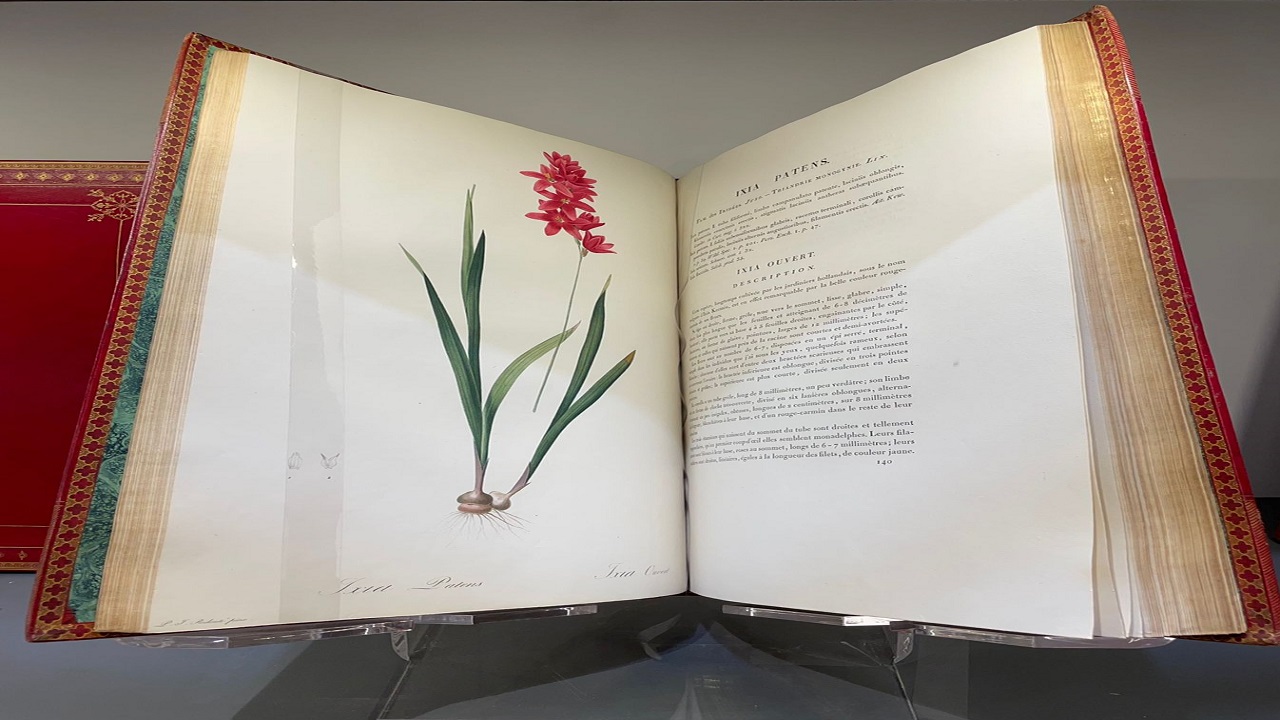 عرض كتاب نادر للرسام الراحل” بيري جوزيف” بمعرض الرياض الدولي للكتاب