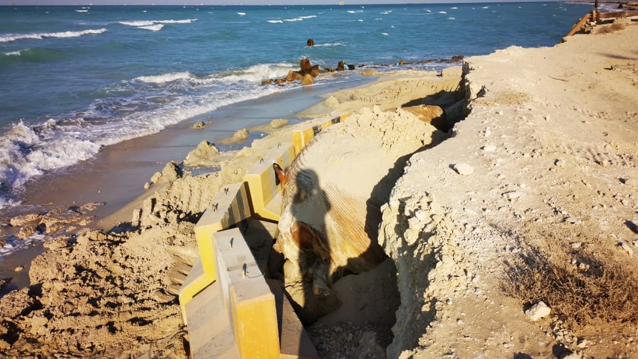 بالصور.. الانتهاء من دفن الحوت النافق بشاطئ رأس تنورة