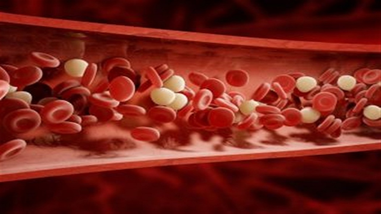 “النمر”: زيادة لزوجة الدم تسبب جلطات القلب والدماغ