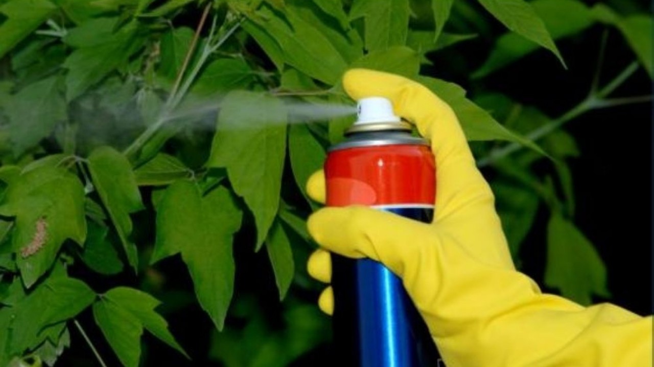 “البيئة” تضبط 20 مخالفة لنظام المبيدات
